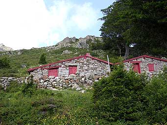 image aléatoire
