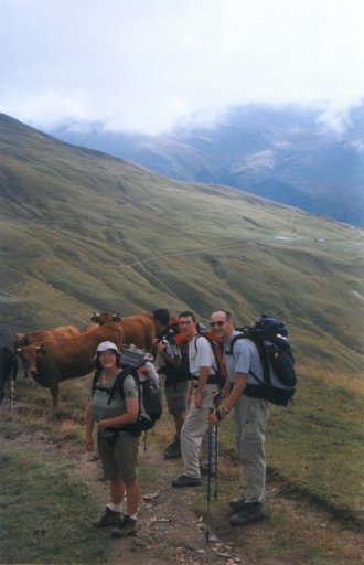 Photographie de vache Italienne