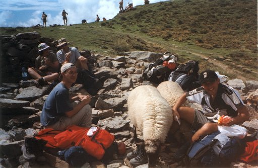 Photo au col de Tricot